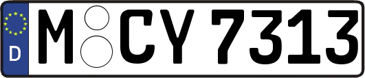 M-CY7313