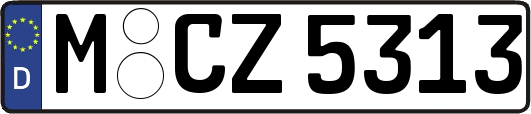 M-CZ5313