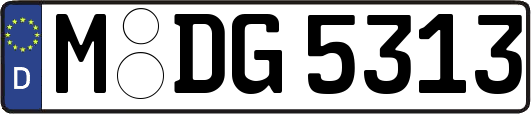 M-DG5313