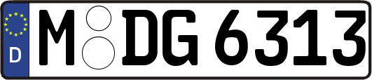 M-DG6313