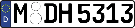 M-DH5313