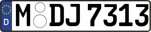 M-DJ7313