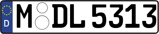 M-DL5313