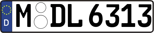 M-DL6313