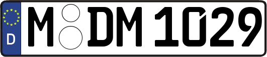 M-DM1029