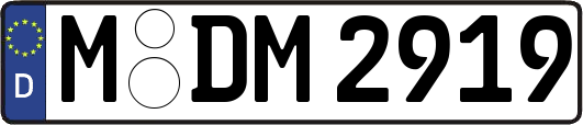 M-DM2919
