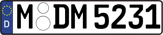 M-DM5231