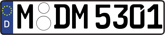 M-DM5301