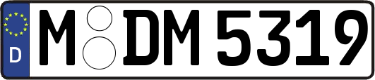 M-DM5319