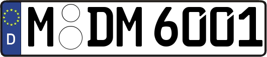 M-DM6001