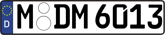 M-DM6013