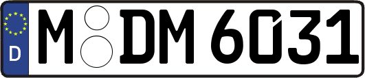 M-DM6031