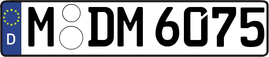 M-DM6075