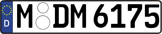 M-DM6175