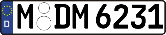 M-DM6231