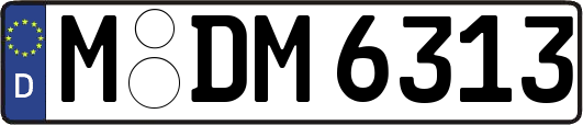 M-DM6313