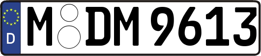 M-DM9613