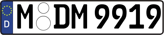 M-DM9919