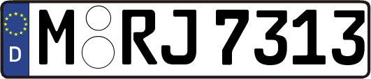 M-RJ7313