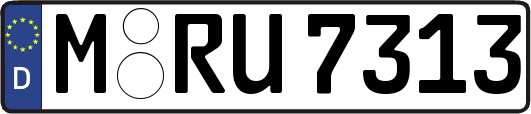 M-RU7313