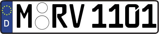 M-RV1101