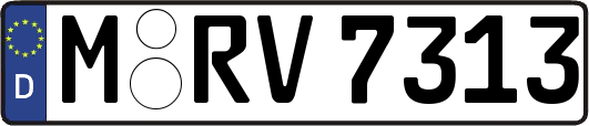 M-RV7313