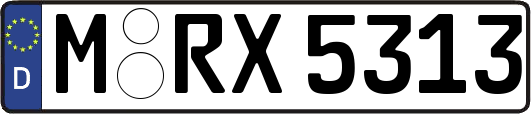 M-RX5313