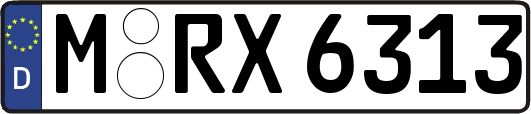M-RX6313