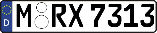 M-RX7313