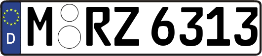 M-RZ6313