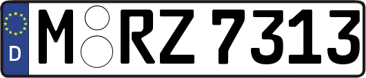 M-RZ7313