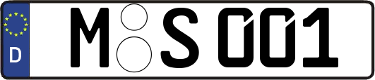 M-S001