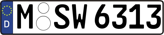 M-SW6313