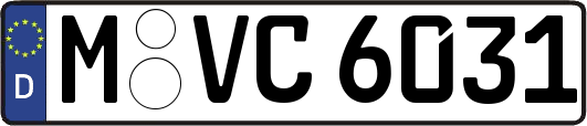 M-VC6031