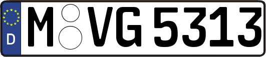 M-VG5313