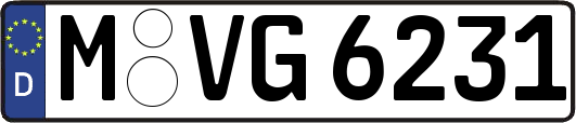 M-VG6231