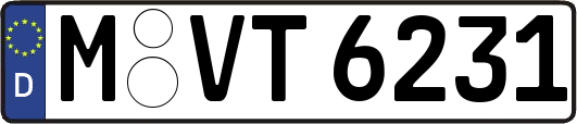 M-VT6231
