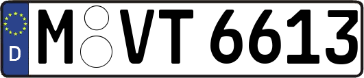 M-VT6613