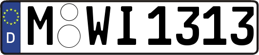 M-WI1313