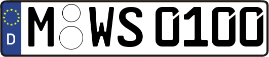 M-WS0100