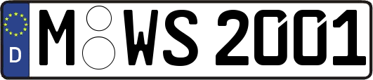 M-WS2001