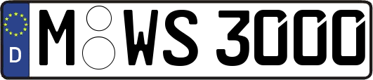 M-WS3000