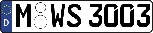 M-WS3003