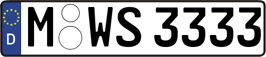 M-WS3333