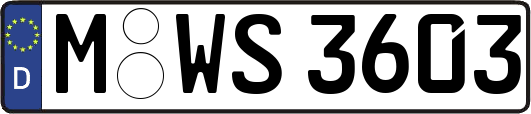 M-WS3603