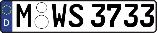 M-WS3733