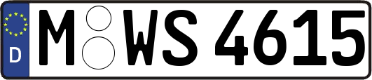 M-WS4615