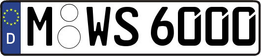 M-WS6000