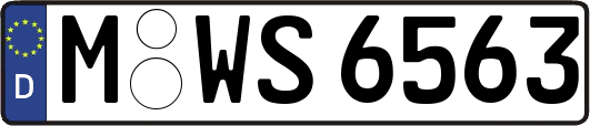 M-WS6563