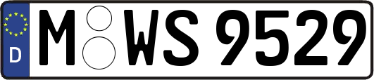 M-WS9529